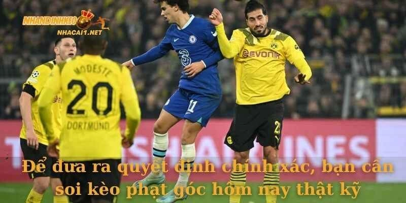 anh-dai-dien