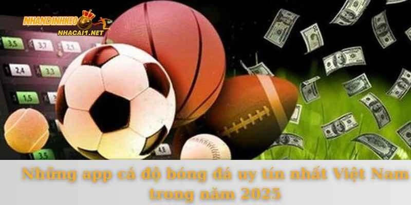 app-ca-do-bong-do-uy-tin-nhat-viet-nam-5