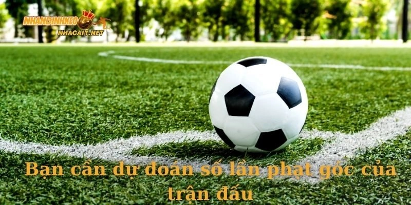 Bạn cần dự đoán số lần phạt góc của trận đấu