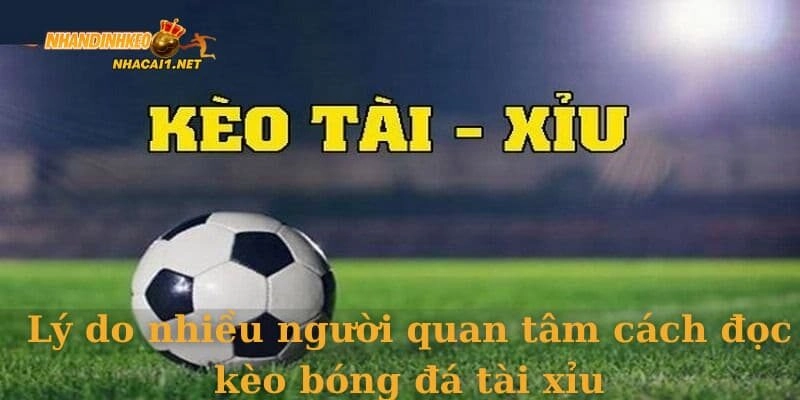 Lý do nhiều người quan tâm cách đọc kèo bóng đá tài xỉu