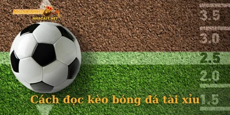 Cách đọc kèo bóng đá tài xỉu