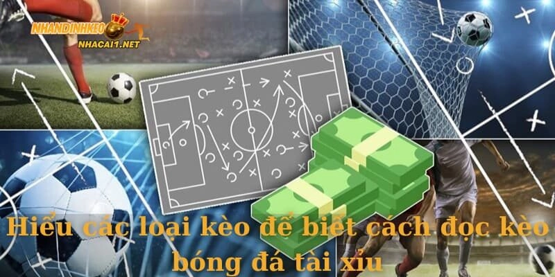 Hiểu các loại kèo để biết cách đọc kèo bóng đá tài xỉu
