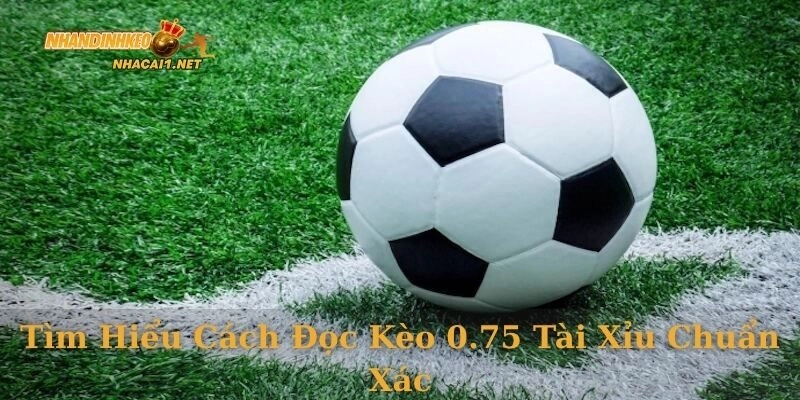 Tìm hiểu cách đọc kèo 0.75 tài xỉu chuẩn xác