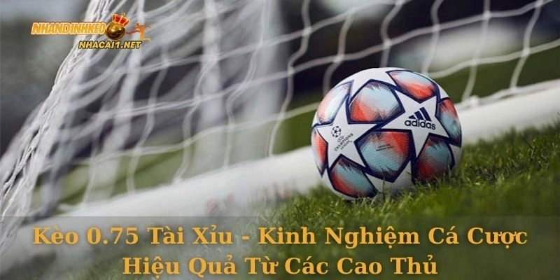 keo-0-75-tai-xiu-5