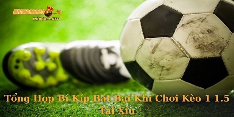 Tổng hợp bí kíp bất bại khi chơi kèo 1 1.5 tài xỉu