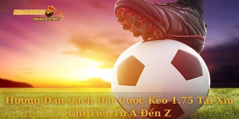Hướng dẫn cách đặt cược kèo 1.75 tài xỉu chi tiết từ A đến Z