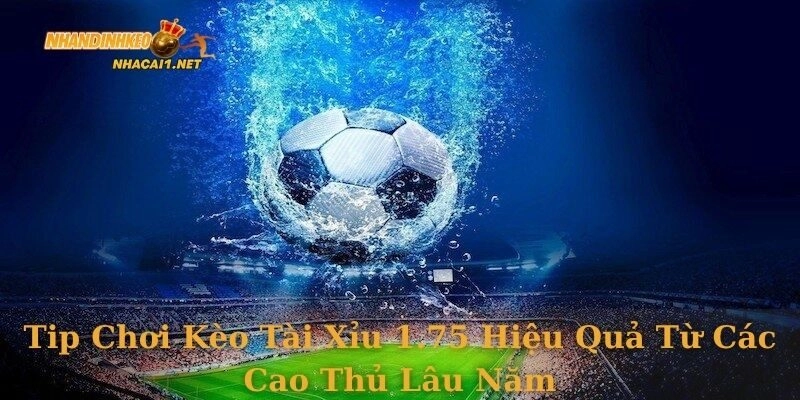 Tip chơi kèo tài xỉu 1.75 hiệu quả từ các cao thủ lâu năm