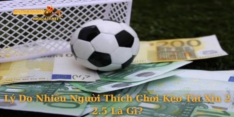 Lý do nhiều người thích chơi kèo tài xỉu 2 2.5 là gì?