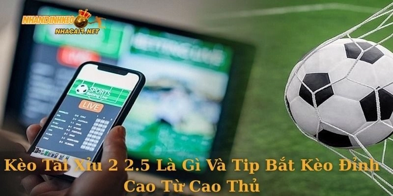 keo-tai-xiu-2-2-5-la-gi-5
