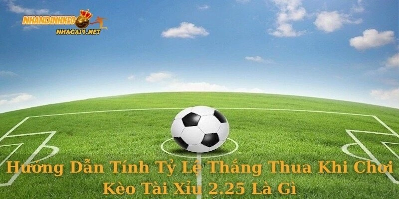 Hướng dẫn tính tỷ lệ thắng thua khi chơi kèo tài xỉu 2.25 là gì