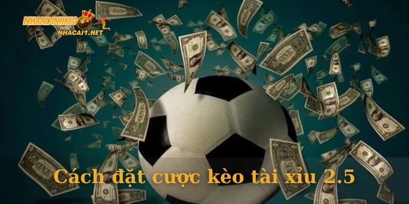 Cách đặt cược kèo tài xỉu 2.5