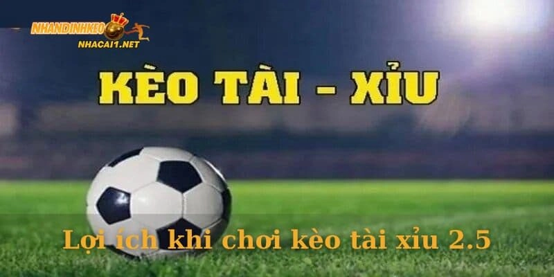 Lợi ích khi chơi kèo tài xỉu 2.5