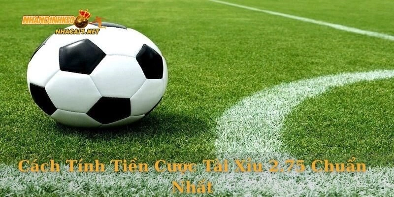 Cách tính tiền cược tài xỉu 2.75 chuẩn nhất