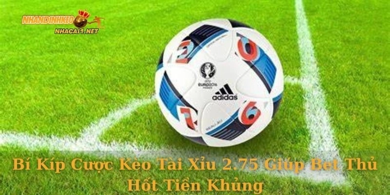 Bí kíp cược kèo tài xỉu 2.75 giúp bet thủ hốt tiền khủng