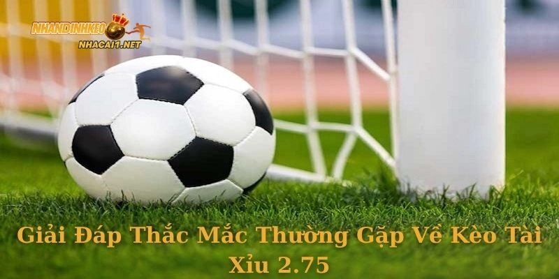Giải đáp thắc mắc thường gặp về kèo tài xỉu 2.75