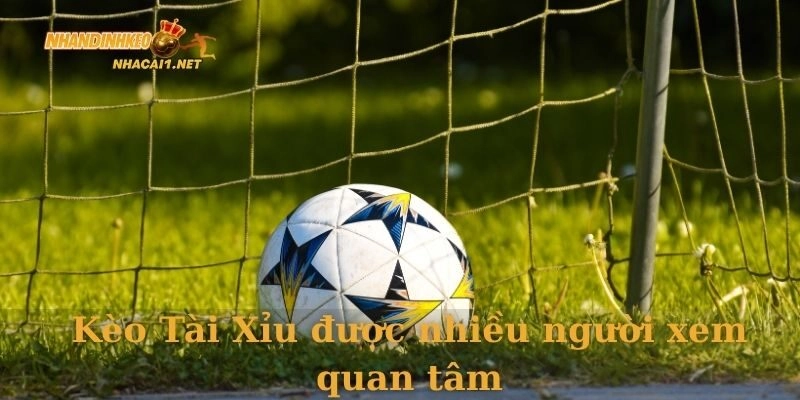 Kèo Tài Xỉu được nhiều người xem quan tâm