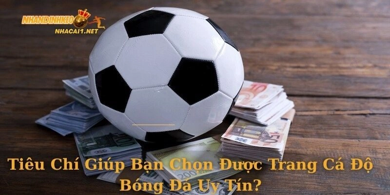 Tiêu chí giúp bạn chọn được trang cá độ bóng đá uy tín?