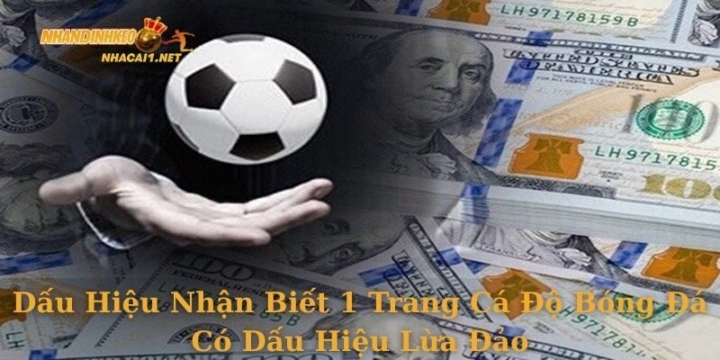 Dấu hiệu nhận biết 1 trang cá độ bóng đá có dấu hiệu lừa đảo