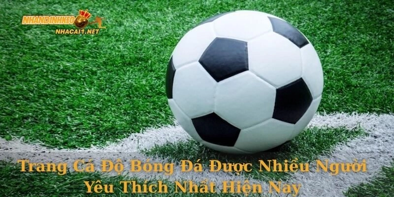 trang-ca-do-bong-da-5