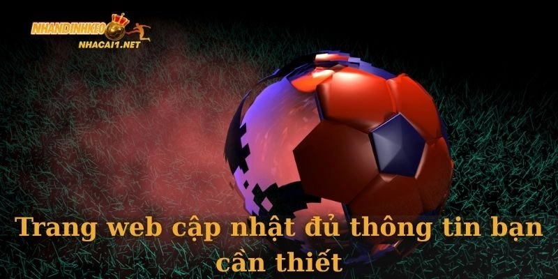 Trang web cập nhật đủ thông tin bạn cần thiết