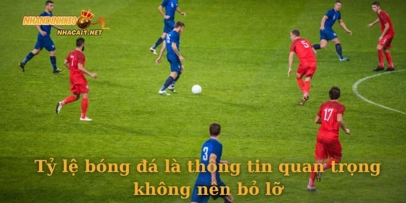 Tỷ lệ bóng đá là thông tin quan trọng không nên bỏ lỡ