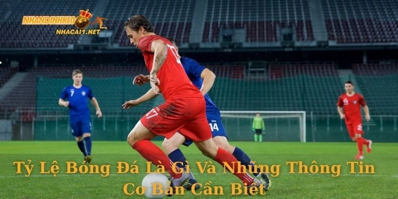 ty-le-bong-da