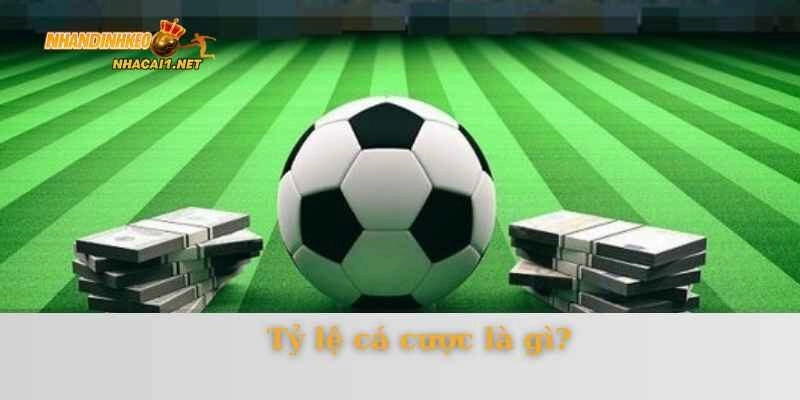 Tỷ lệ cá cược là gì?