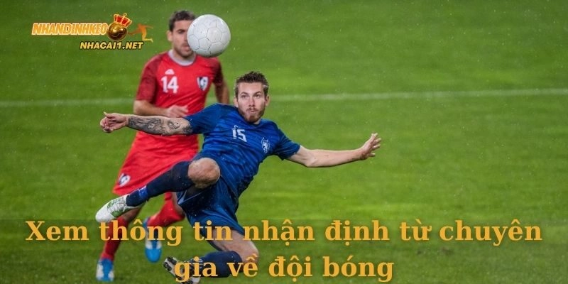 Xem thông tin nhận định từ chuyên gia về đội bóng